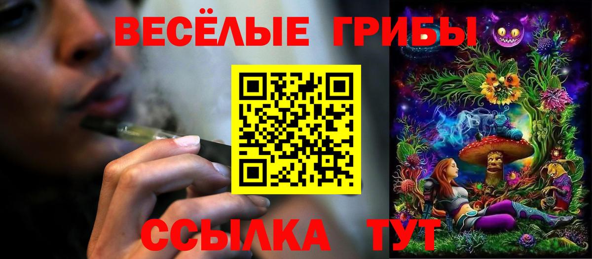 Псилоцибиновые грибы Cubensis Нягань