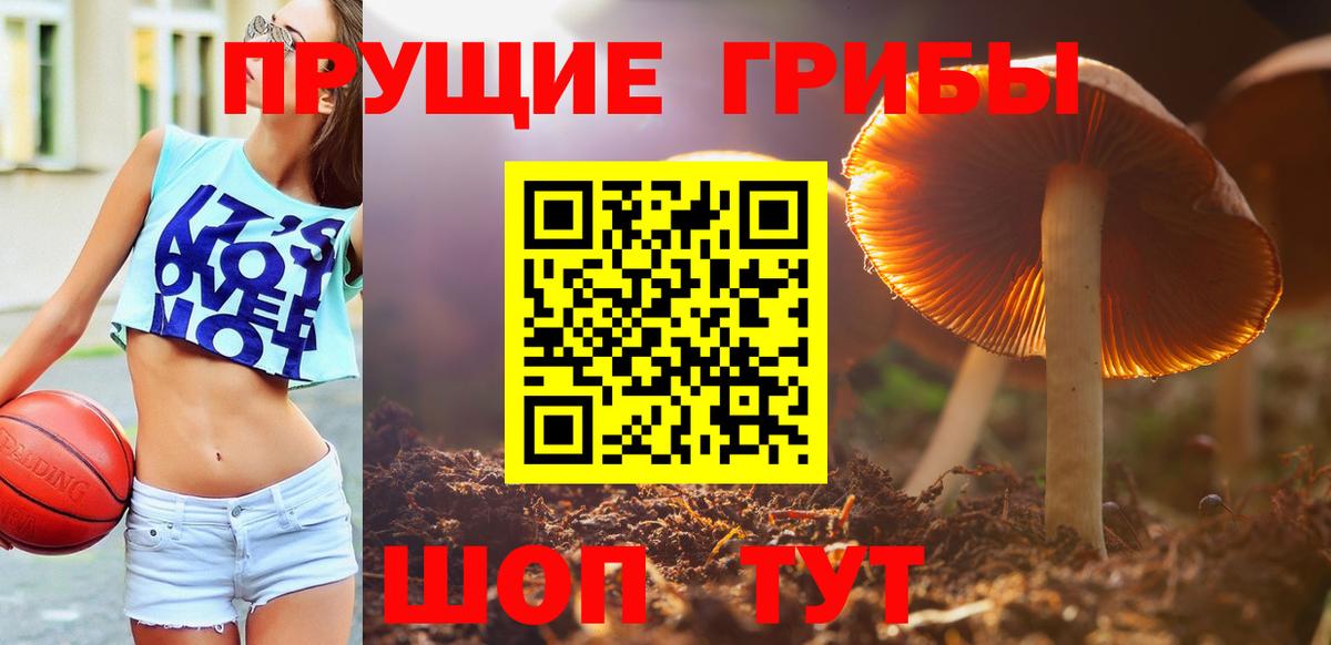 Нягань  купить наркотики цена  Вход с VPN  Галлюциногенные грибы прущие грибы 